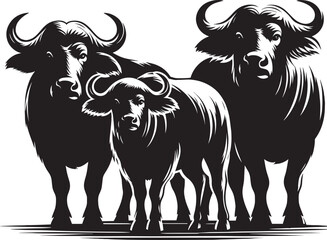Group of Wild Buffalo Silhouette vector illustration isolated on a white background