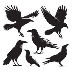 Obraz premium Set of crow silhouette vector on a white background