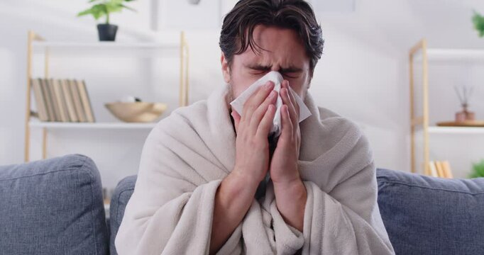 Unwell man wrapped in a blanket, sneezing and suffering from cold or flu symptoms. He is sick, with a fever, measuring his temperature with a thermometer as he battles a viral disease.