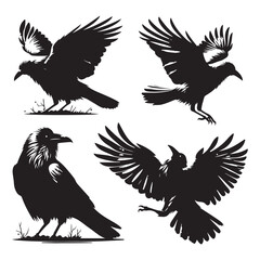 Fototapeta premium Set of crow silhouette vector on a white background