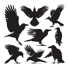 Obraz premium Set of crow silhouette vector on a white background