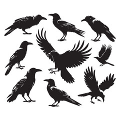 Obraz premium Set of crow silhouette vector on a white background