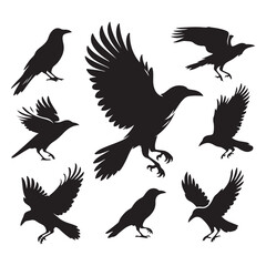 Obraz premium Set of crow silhouette vector on a white background