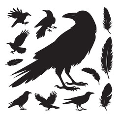 Obraz premium Set of crow silhouette vector on a white background