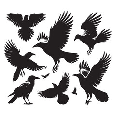 Fototapeta premium Set of crow silhouette vector on a white background