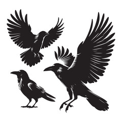 Fototapeta premium Set of crow silhouette vector on a white background