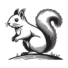 Squirrel Outline Clipart Design - Squirrel Logo Concept -  Cute Squirrel  vector illustration in black and white 