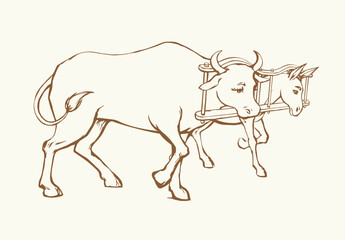 Vector drawing. Ox and donkey in one harness