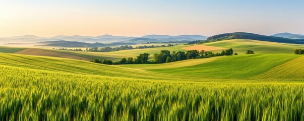 Fototapeta premium A serene landscape showcasing rolling hills and lush green fields under a clear blue sky during golden hour.