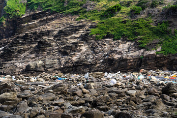 海岸に漂着したゴミ