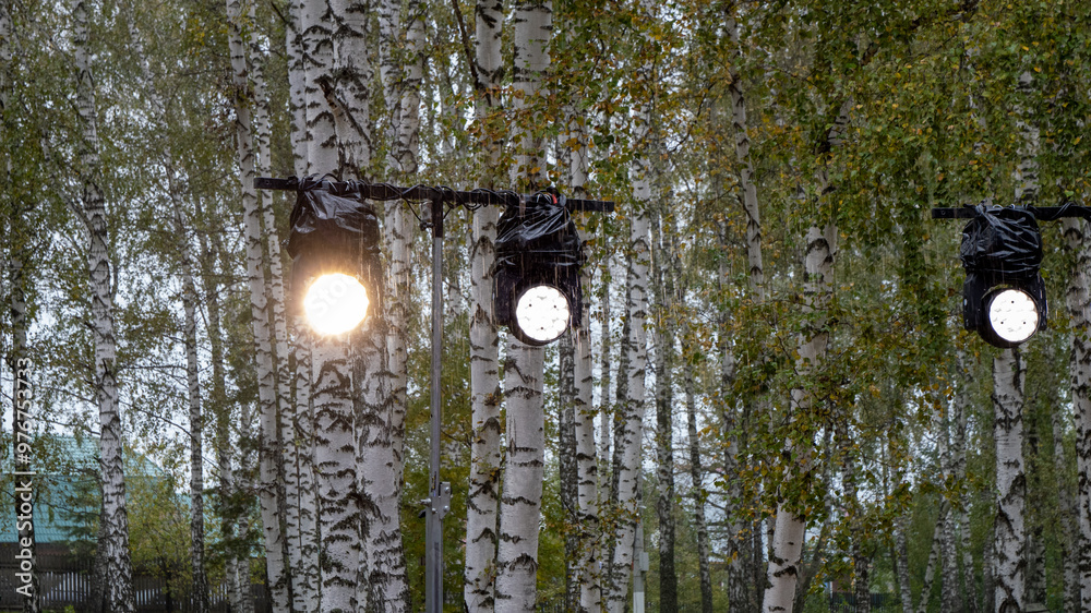 Poster A forest with three lights hanging from the trees