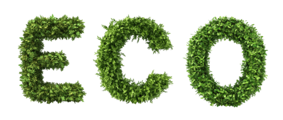 ECO words made of a grass