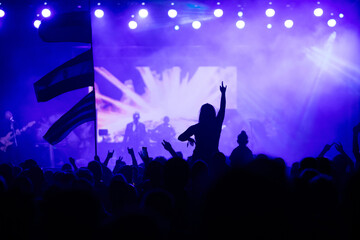Crowd at concert and colorful stage lights.