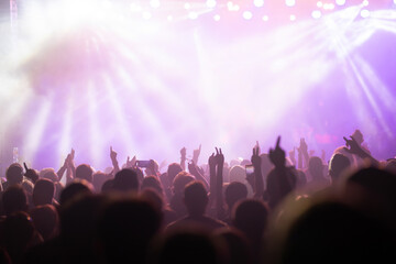 Crowd at concert and colorful stage lights.