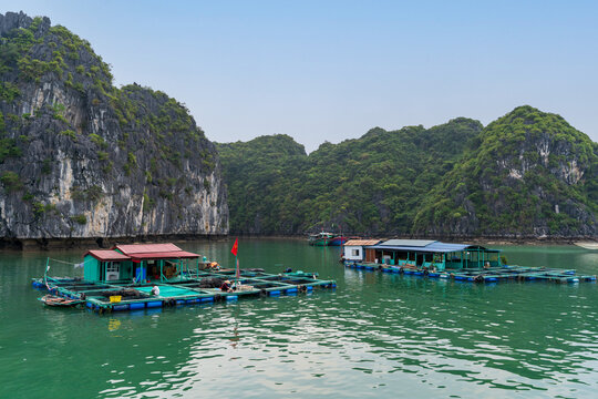 Cai Beo floating village in Lan Ha Bay, Hai Phong, Vietnam