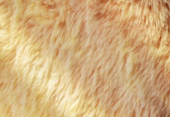 Yellow fur texture
