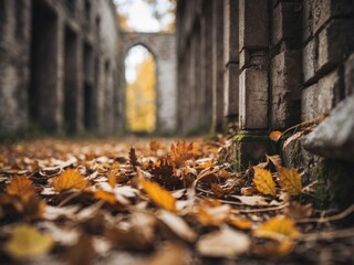 Obraz premium Exploring abandoned ruins with autumn foliage in a decaying urban landscape.