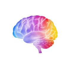 Vibrant of a brain featuring colorful hues, representing creativity, intelligence, and cognitive processes.