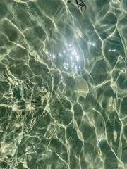 A close up view of a beautiful body of water, with the warm sun shining brightly and creating glimmers of light that dance upon it