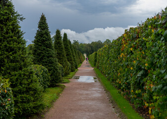 path in the park 