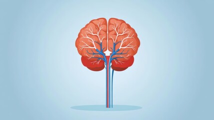 Illustration of brain arteries with a visible blockage, cerebral infarction cause explained in a simple, clean visual style, artery blockage, educational medical illustration