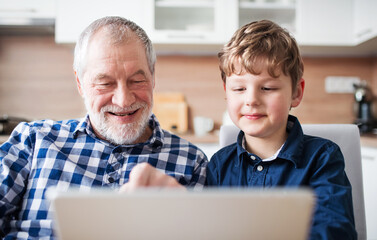 Boy and grandpa making videocall on tablet. Grandfather spending time with grandson, taking care of...