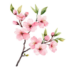 Naklejka premium Beautiful watercolor cherry blossom branch with pink flowers and green leaves