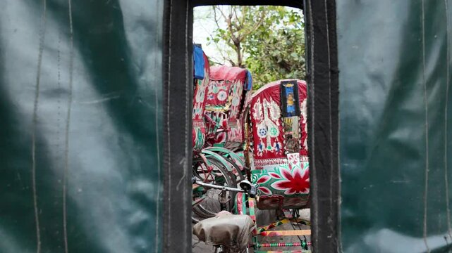 Parked decorated rickshaws, Dhaka Division, Dhaka, Bangladesh