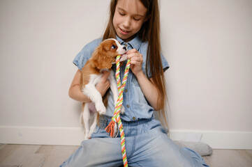 Happy girl sitting comfortably on floor at home holding playful puppy of Cavalier King Charles Spaniel dog in her arms, having great time playing with him with toy, tug of war