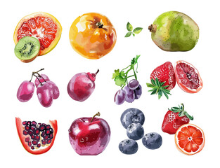 Collection of watercolor fruits, isolated on white background, healthy food design elements. vector illustration