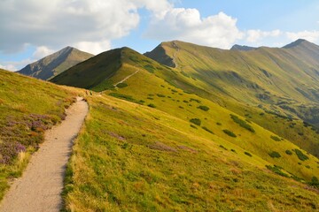 zielone wzgórza © jholy