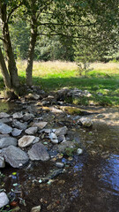 A small mountain river with a flow of water in the Polish mountains. Eastern Sudetes