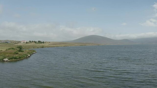 Seagulls Flying Over Paravani Lake Near Villages In Georgia. Aerial Drone Shot