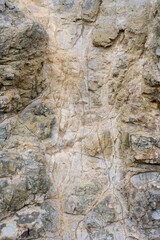 the old coastal rock