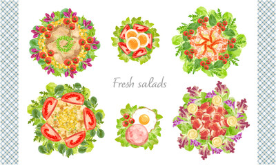 サラダ　イラスト