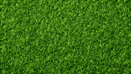 A seamless green grass texture for backgrounds and designs, lush, seamless, green, grass, outdoor, nature, environment