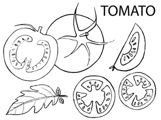 hand drawn illustration of tomatoes, tomatoes hand drawn