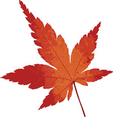 Autumn maple leaves clipart