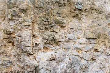 the old coastal rock