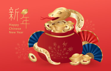Elegance Chinese new year 2025 year background. translation : Happy chinese new year, year of snake.