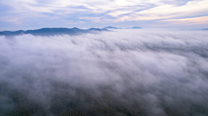 Morning mist with beautiful nature of the rainy season