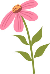 Handdrawn summer flower illustration