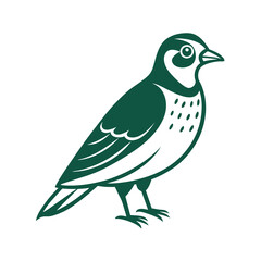 bird on a branch