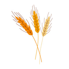 Three golden wheat stalks are shown in a close up. The stalks are tall and slender, with a slight curve at the top. Scene is warm and inviting, evoking a sense of the harvest season