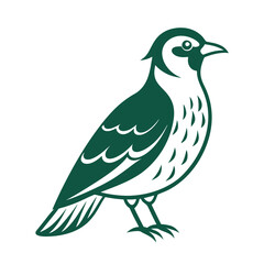 illustration of a bird