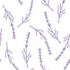 Vector seamless pattern with lavender. Hand painted linear flowers. Graphic clipart isolated on background. Botanical and wedding illustration. For designers, invitations, decoration, postcards