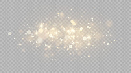 The dust sparks and golden stars shine with special light. Vector sparkles on a transparent background. . Stock royalty free vector illustration. PNG	