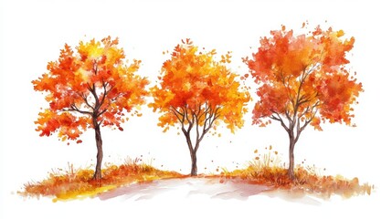 Naklejka premium Watercolor hand drawn of autumn trees,red maple tree on white background,hand drawn watercolor vector illustration,Autumn forest path,red orange foliage in fall forest.