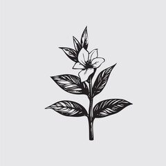 hand drawn flower and leaf