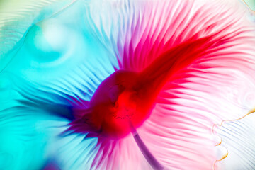 Abstract smooth ink feathers 